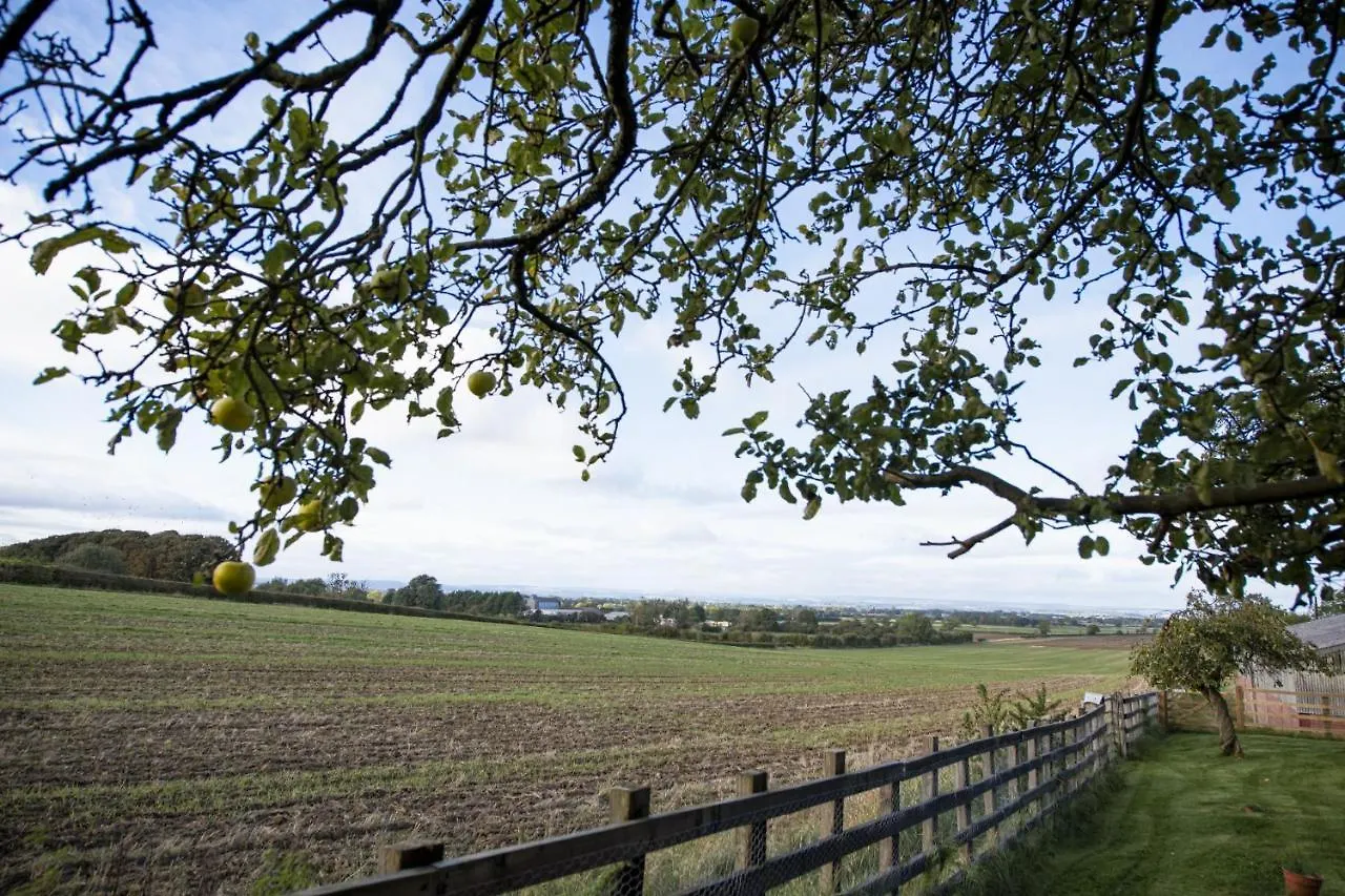 Σπίτι διακοπών Lime Kiln Farm Βίλα Malton